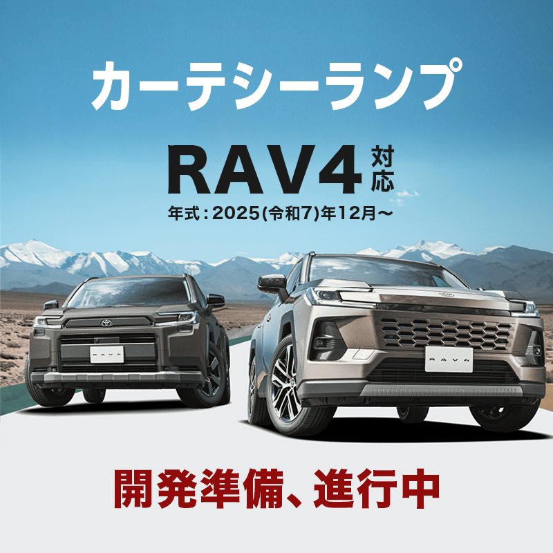 TOYOTA RAV4 対応 カーテシーランプ（R7年12月～）_TOP画像